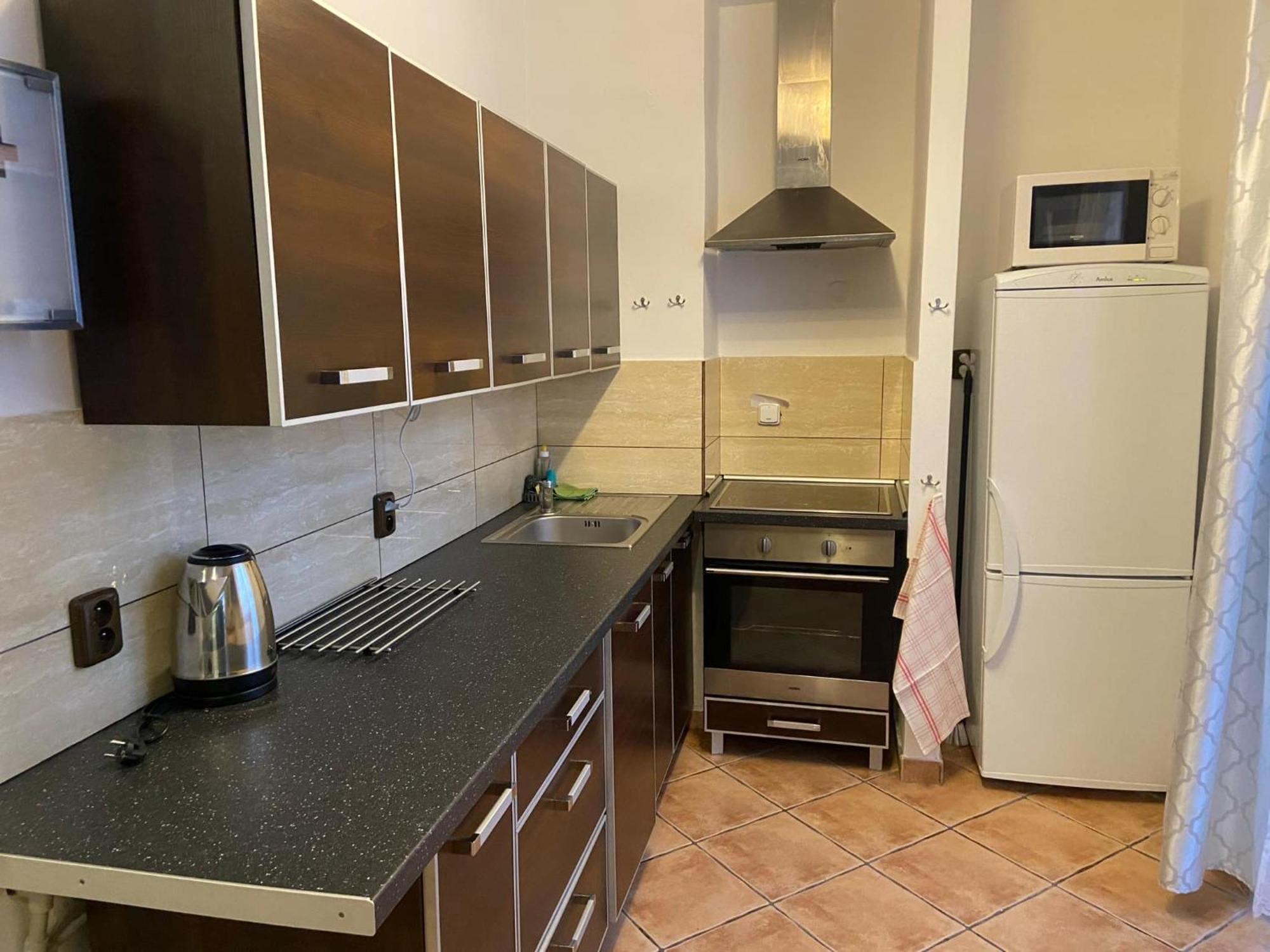 Apartman Orlicke Hory Orlicke Zahori Ngoại thất bức ảnh